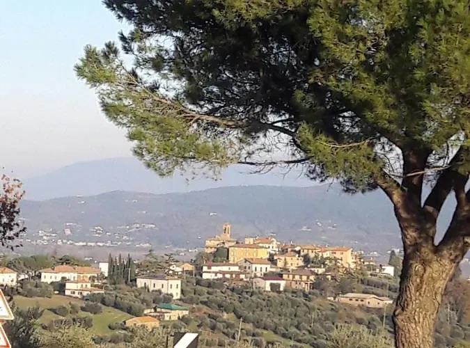 Frühstückspension Cum Grano Salis