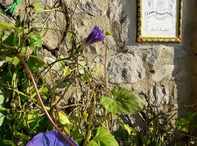 Frühstückspension Cum Grano Salis *